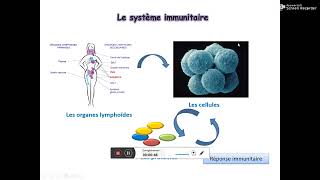 Lymphocyte B ? LB cour complet et meilleure explication avec Dr OUIKHLEF ?