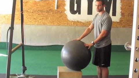 Modified Reverse Hyper (inexpensive lifting)