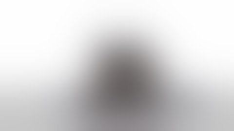 Osro Transformers dark of the moon Megatron short flash