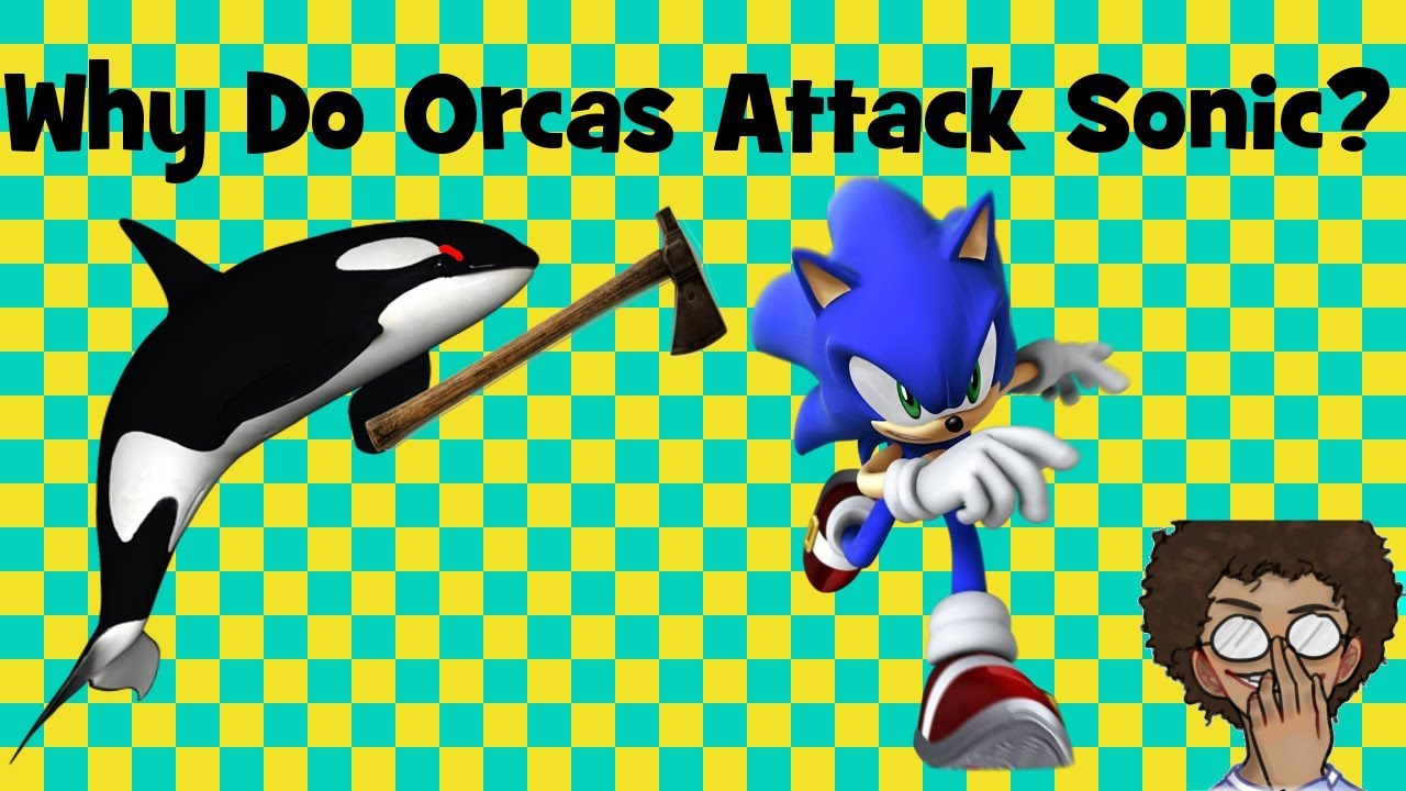 Sonic attack. Killer Whale in Sonic Generations.