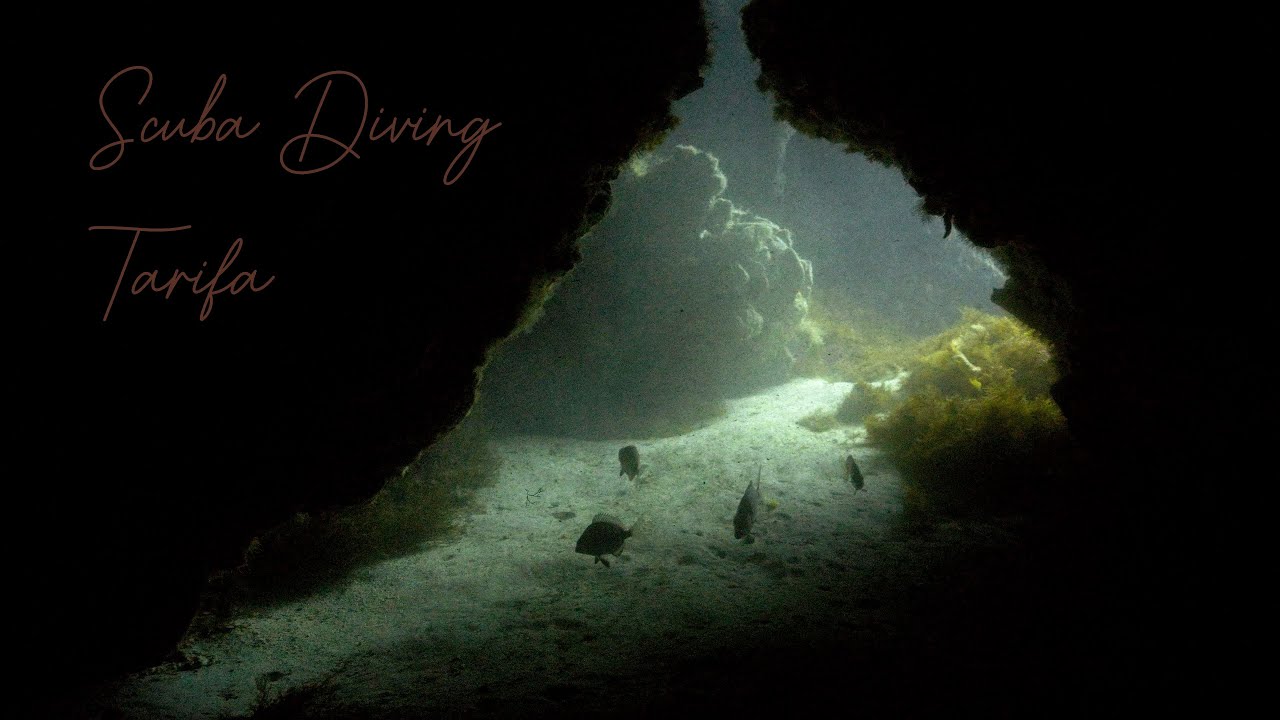 Scuba Diving in Tarifa Spain, october 2023 YouTube