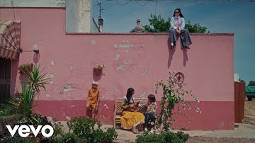 fluente - animalixsempre (Official Video)