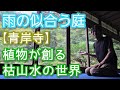 【お気に入りの庭紹介】植物たちが織りなす枯山水の世界@青岸寺(2026年9月)🌿✨