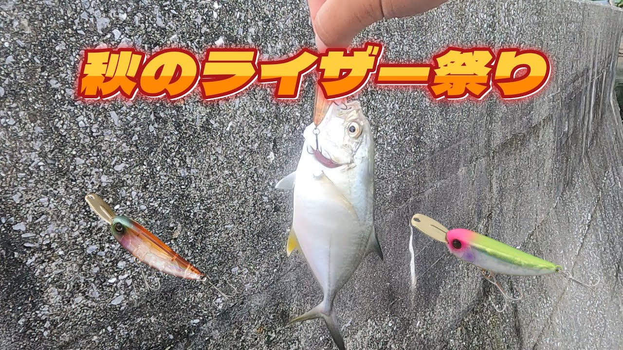 Light Game] Autumn Trevally Festival with Riser Baits! - YouTube