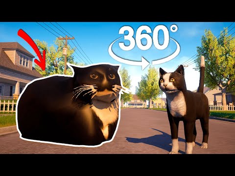 360° Vr Escape From Maxwell The Cat