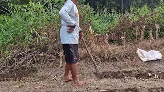SIMPLE TRADITIONAL TOOL THAT MAKES SOIL CULTIVATION FAST! - traditional farmer