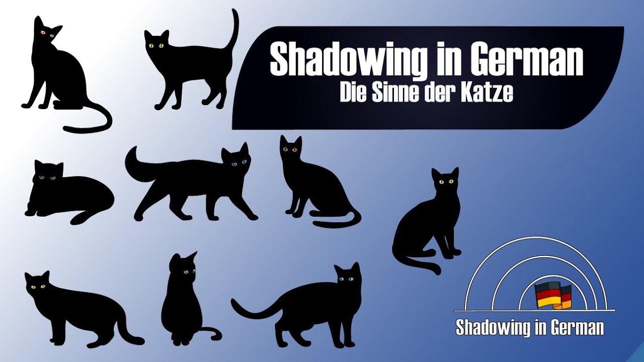 Shadowing in German-  Die Sinne der Katze