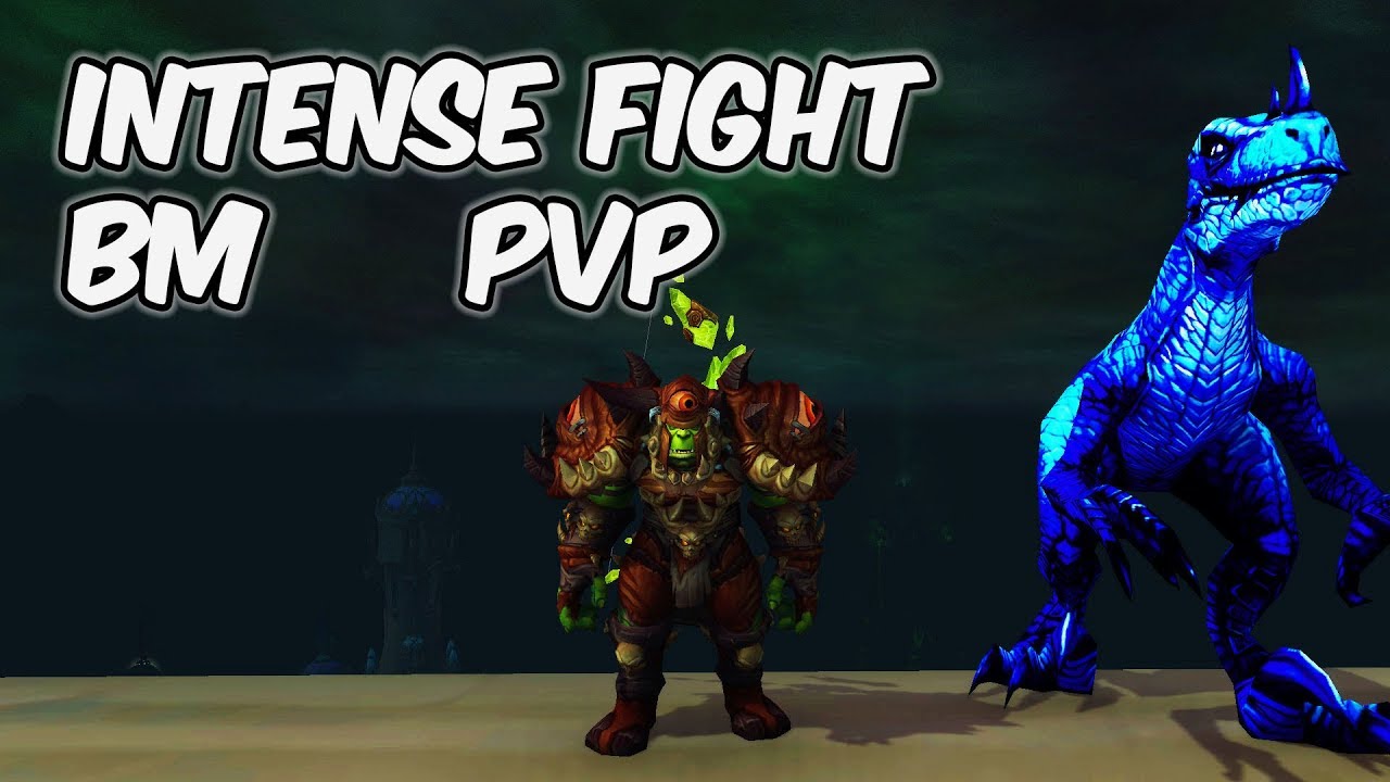 Intense Fight - 8.0.1 Beast Mastery Hunter PvP - WoW BFA