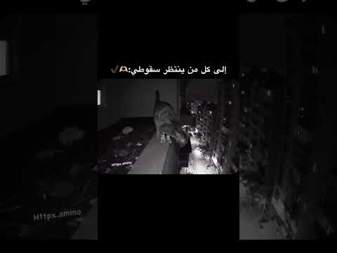 إلى كل من ينتظر سقوطي   