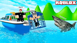 Çelik Kafese Girdim Ve Köpek Balığı Peşimizde Yeni Bot Aldık - Panda Ile Roblox Sharkbite