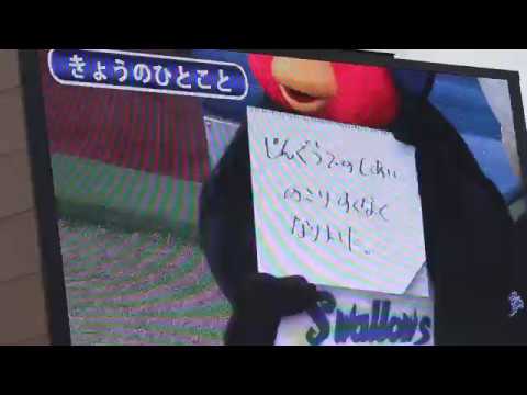 2017.9.3 つば九郎先生きょうのひとこと 誠也と赤松にメッセージ