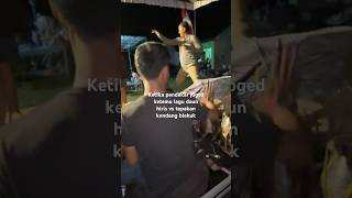 Download Lagu Daun hiris #rampakkendang #risnanada #dangdutkoplo MP3 Download Lagu Daun hiris #rampakkendang #risnanada #dangdutkoplo MP3