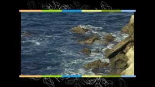 Ayuntamiento de Miengo - Vive Miengo