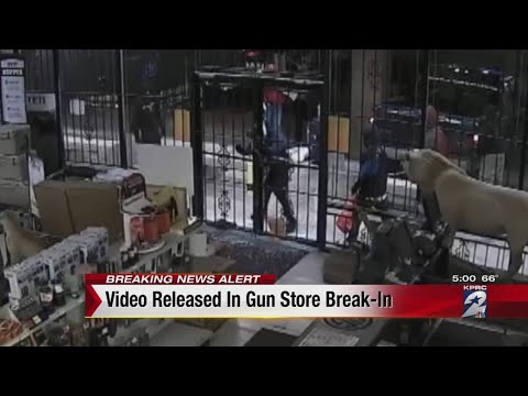 Video released in gun store break-in