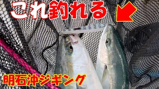 このジグ！マジで釣れます - YouTube