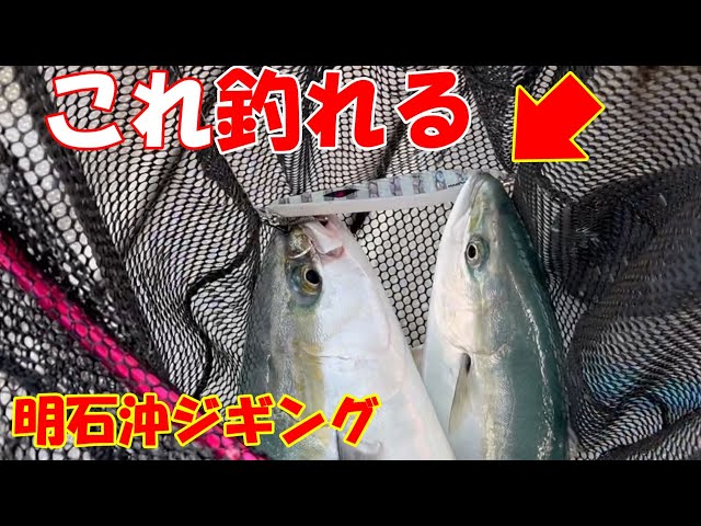 このジグ！マジで釣れます - YouTube