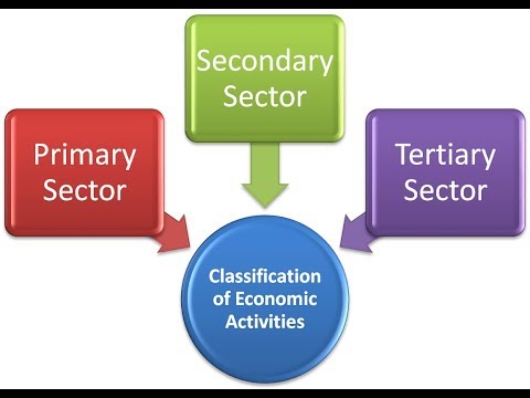 Sectors of Economy - Primary, Secondary, Tertiary, Quaternary, Quinary