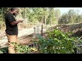 From Dead Dirt to Tomato Jungle: My Full Garden Prep Guide