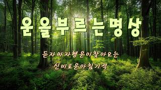 듣자마자 행운이 찾아오는 신비로운 아침 기적 - 마음이 편안해지는 시간, 긍정 에너지를 부르는 명상, 오늘 하루도 파이팅!
