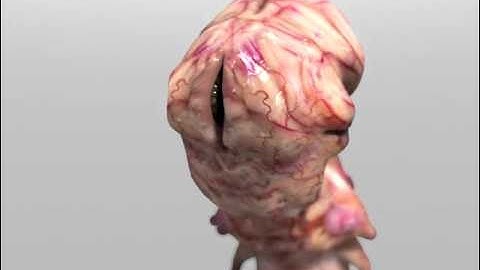 Lightwave messiahstudio modo  Blender　bonyo.mov