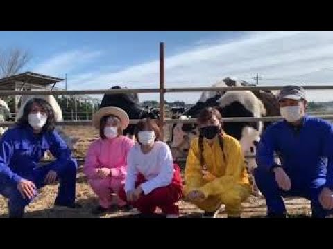 新年のご挨拶