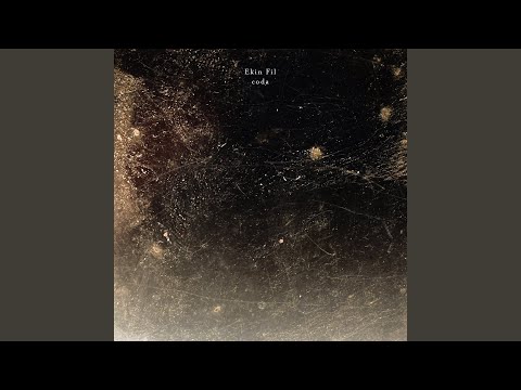 Ekin Fil — Looped