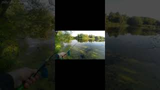 Только прибавил глубину. #fishing#рыбалканапоплавок #рыбалка