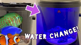 Nano REEF Tank Water Change with NEW Fish? (No Skimmer)