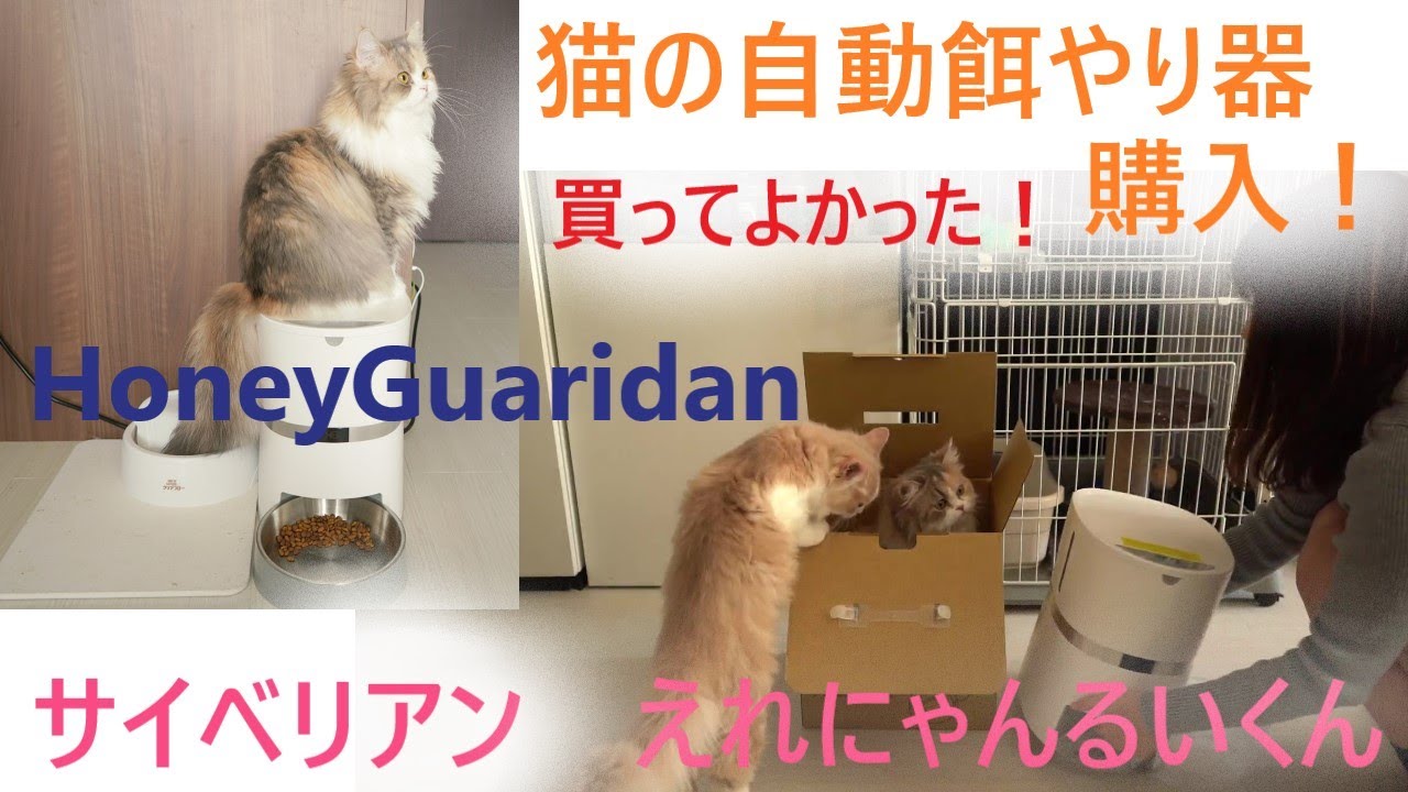 猫の自動餌やり機honeyguaridan購入 びっくりして猫が逃げ出した サイベリアン多頭飼い Youtube