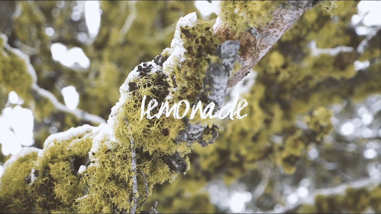 Lemonade