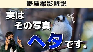 【脱初心者】下手な野鳥写真の特徴を7つ解説！《野鳥撮影解説》