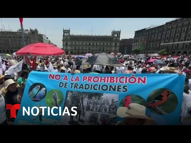 Suspenden temporalmente las corridas de toros en la Ciudad de México y aficionados salen a marchar