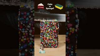 satisfying spongelovers spongelove oddlysatisfying cake spongeaddict chocolate viralshorts