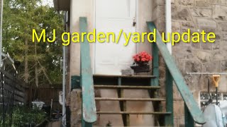 Momma J garden/Yard update on crops