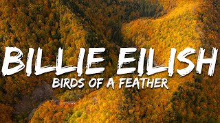 Download Lagu Billie Eilish - BIRDS OF A FEATHER (Lyrics) MP3 Download Lagu Billie Eilish - BIRDS OF A FEATHER (Lyrics) MP3
