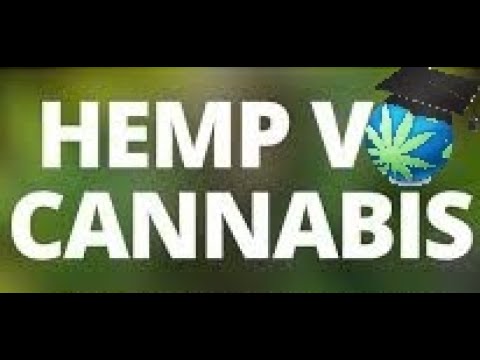 Video: Basiese Klerekas: Die Bedrieglike Eenvoud Van 'n T-hemp