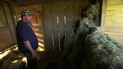 Mystery Poo in a Prize Bull's Feed | Call of the W...