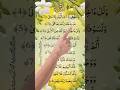 Surah Ad Duha By Egzon Ibrahimi Beautiful Quran Recitation Egzonibrahimi Trending