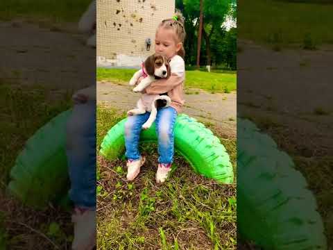 Лучшие друзья #бигль