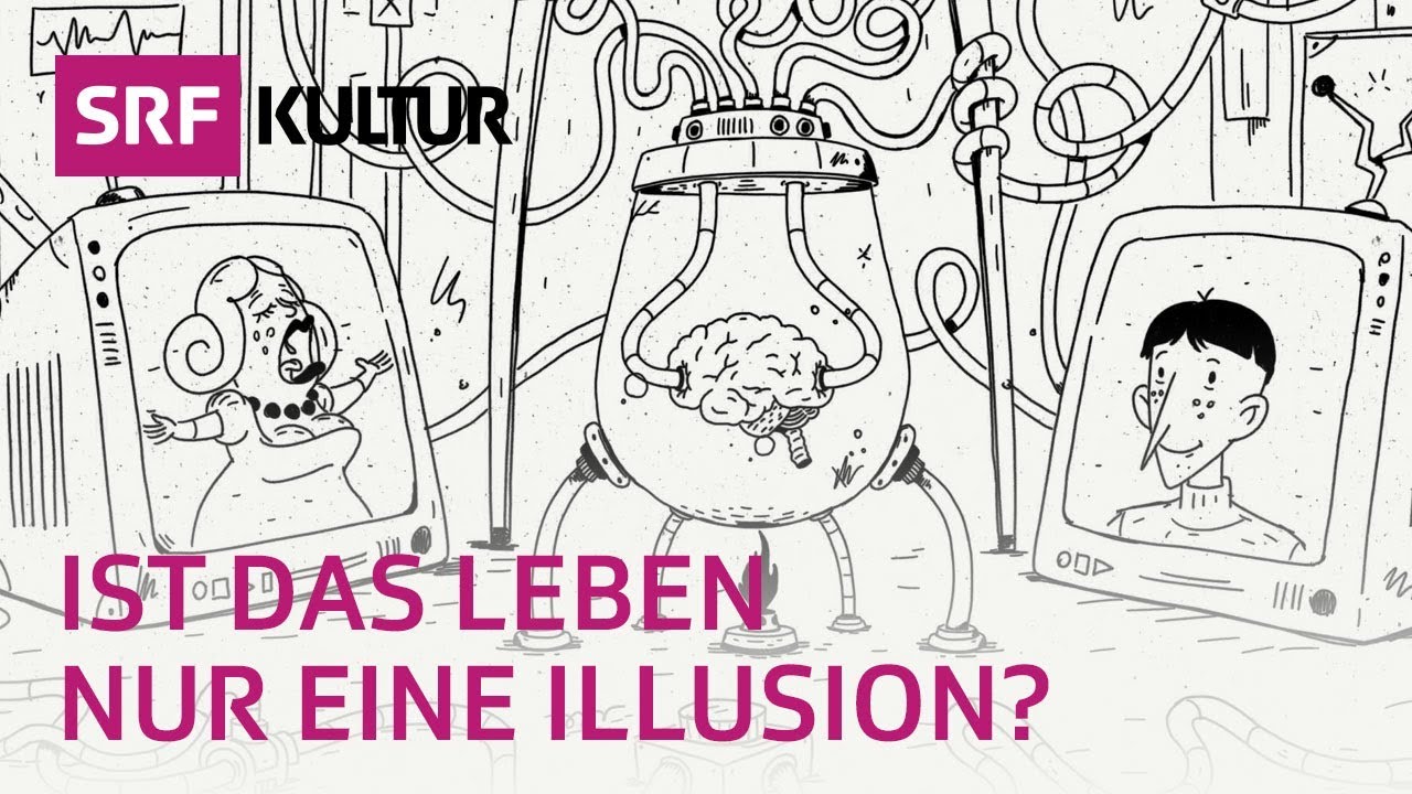 Das Gehirn: Aufbau und Funktion einfach erklärt - Cortex