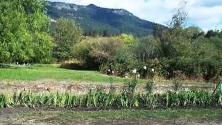 69748 Lantz Ln video tour