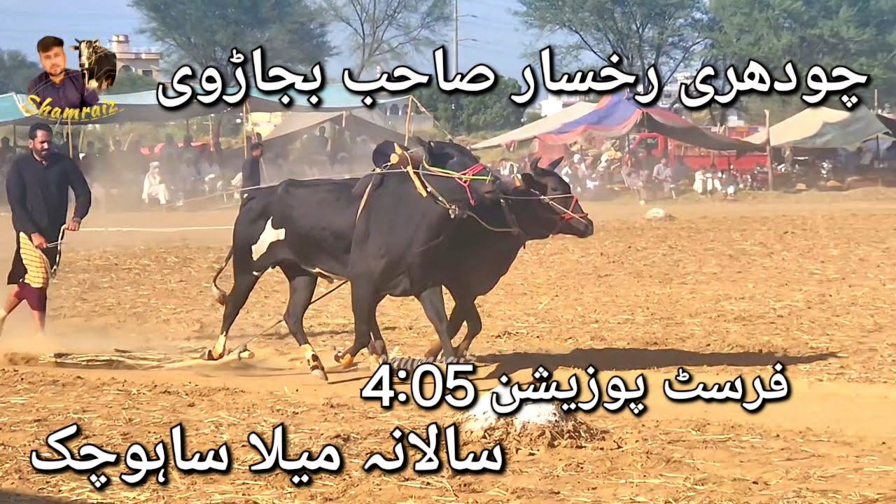 Ch Rukhsar ch rukhsar shab bajarvi | dand bulbuly kashmir | mela sahochak bail ...