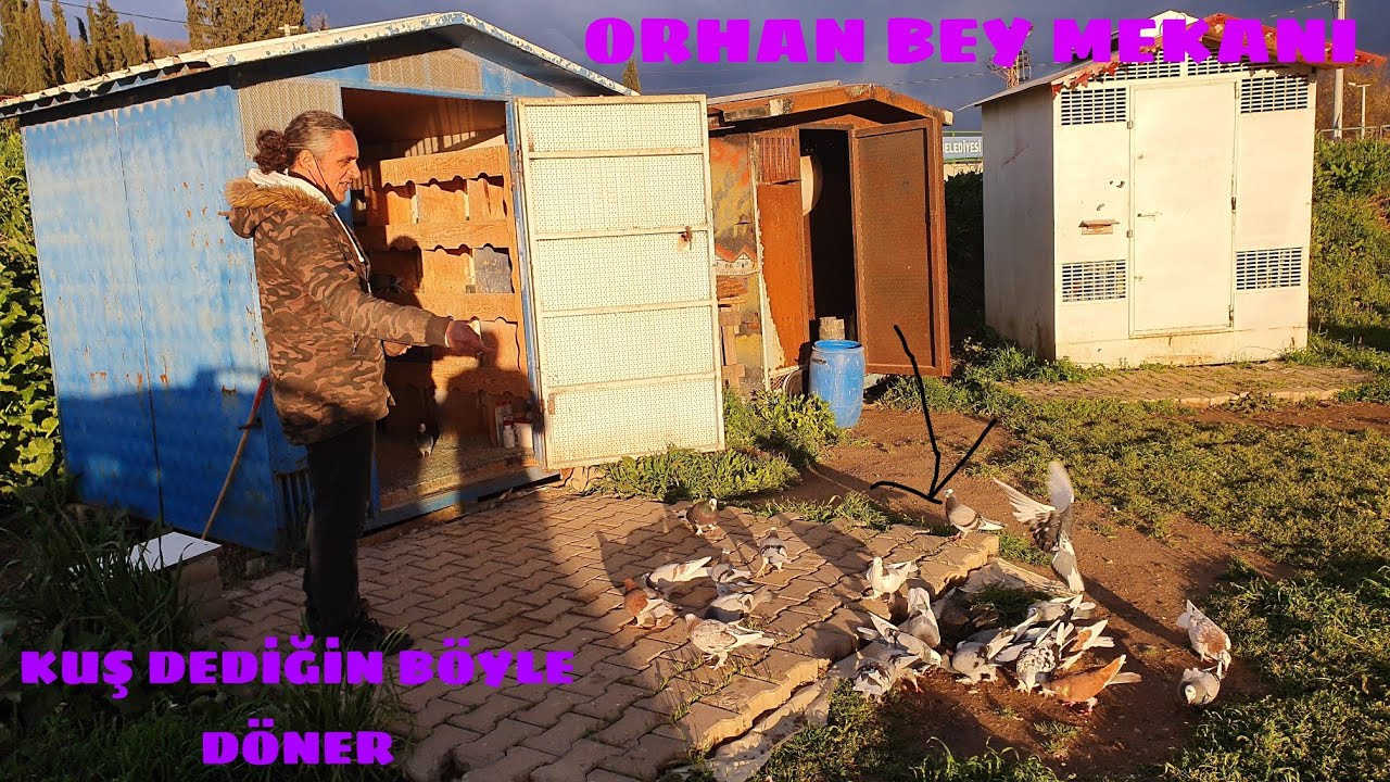 MERMİ GİBİ DÖNEN  MAKEDON DÖNEK LERİ İLE  ORHAN BEY KÜMESLERİ