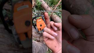 Ever wonder what it’s like to be a timber faller? #bluecollar #timberfaller #funnymoments #fyp