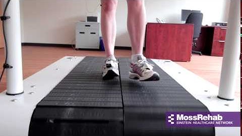 Overview of the Sheerr Gait and Motion Analysis Laboratory