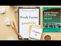 شرح فصل 12 كتاب English Phonetics And Phonology Weak Form 
