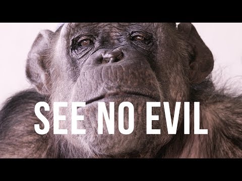 See No Evil | Trailer | Available Now