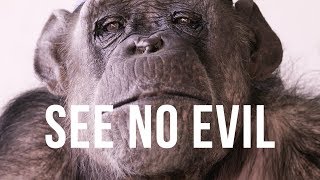 See No Evil | Trailer | Available Now