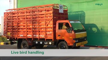 From Plan to Plant 2015 logo HD720