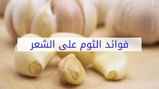 فوائد الثوم على الشعر